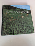 How Does It Feel Exploring the World of Your Senses by Csaky Mick