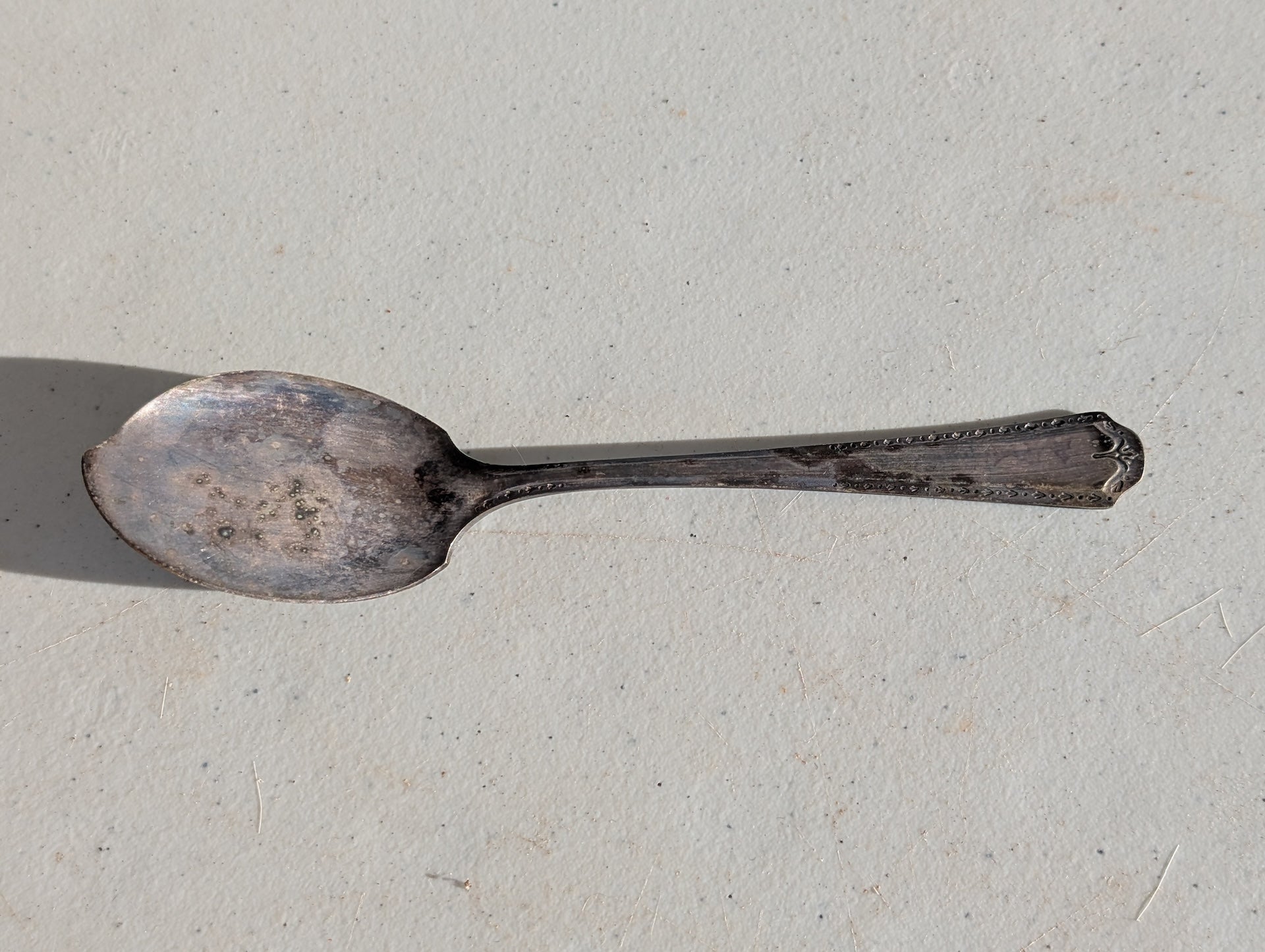 Everlasting (Silverplate, 1949) by Oneida Silver
